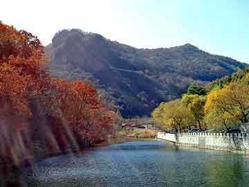 澳门二四六天天彩图库，蟾酥价格